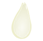 Pumpkin Seed