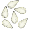 Pumpkin Seeds