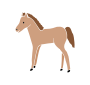 Foal Stencil