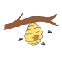 Hive