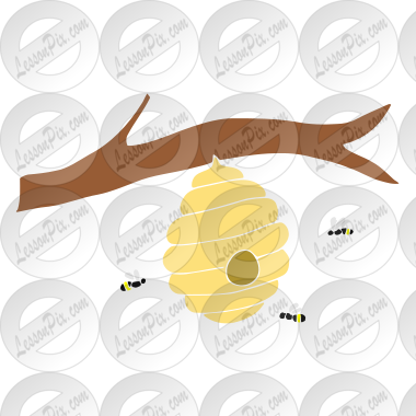 Hive