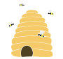 Hive
