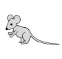 Mouse Picture