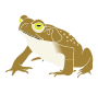 Toad Stencil