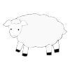 sheep Picture