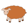 sheep Picture