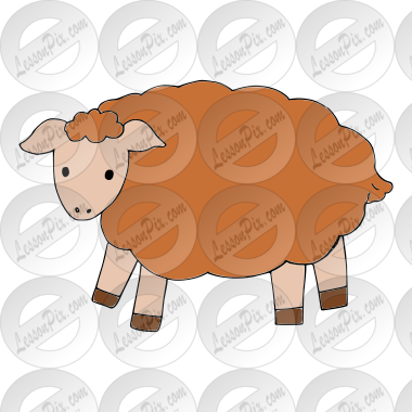 sheep