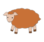 sheep Picture