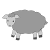 sheep Picture