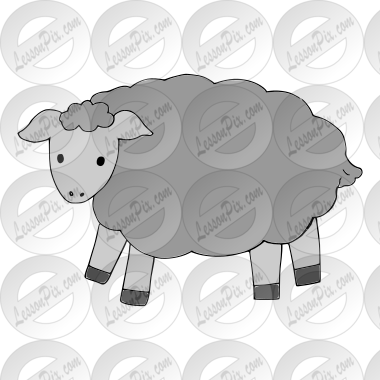 sheep