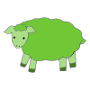 sheep Picture