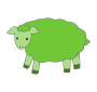 sheep Picture