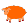 sheep Picture