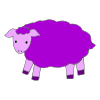 sheep Picture