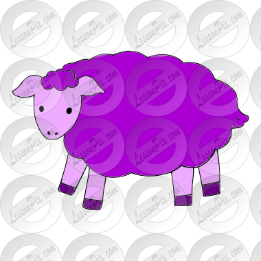 sheep