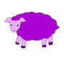 sheep Picture