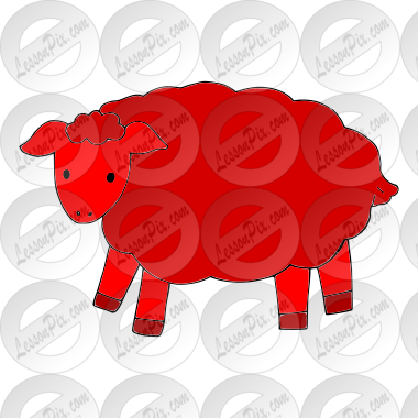 sheep