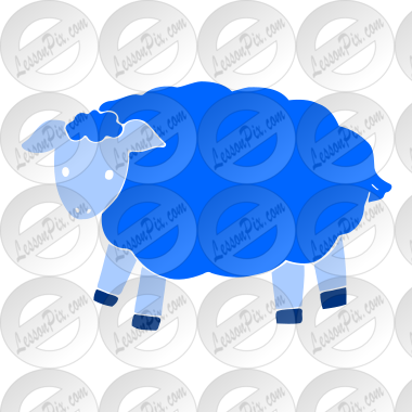 sheep