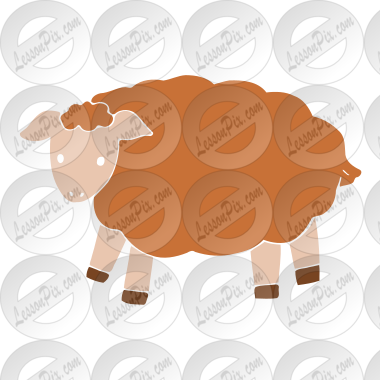 sheep