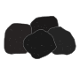 Coal