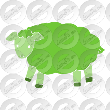 sheep