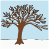 Winter Tree