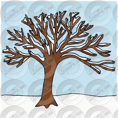 Winter Tree