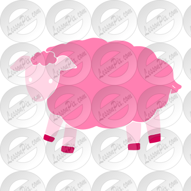 sheep