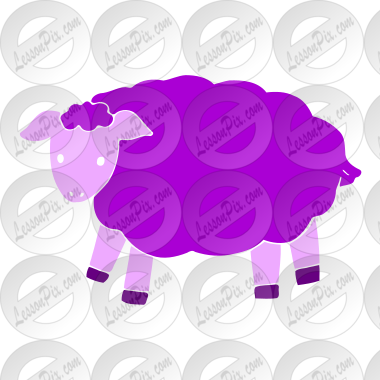 sheep