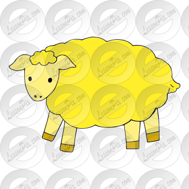 sheep