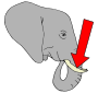 Tusk