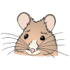 Mouse Picture