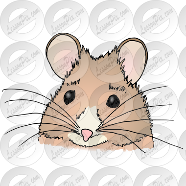 Mouse Picture