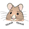 Mouse Picture