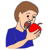 Bite  Picture