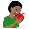 Bite  Picture