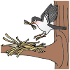 Nest