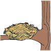 Nest