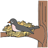Nest