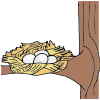 Nest