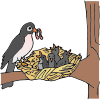 Nest
