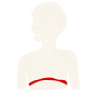 Diaphragm Stencil