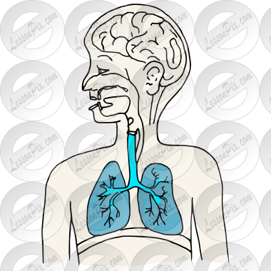 Lungs Picture