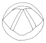 Vocal Folds Outline