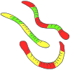 Gummy Worms