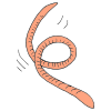 Squirmy Worm