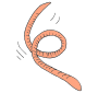 Squirmy Worm  Picture