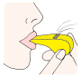 Whistle