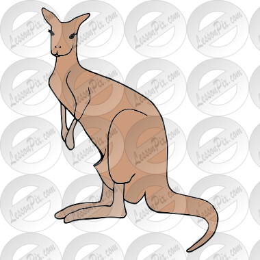 Kangaroo