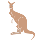 Kangaroo